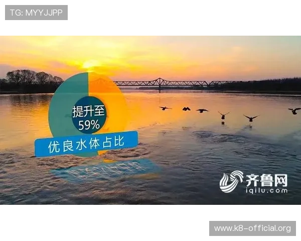 全面解析K8补鱼技巧，掌握最佳捕鱼时间与方法实现快速升级